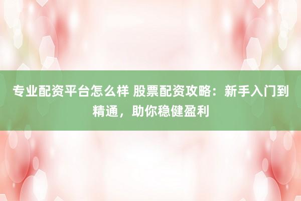 专业配资平台怎么样 股票配资攻略：新手入门到精通，助你稳健盈利