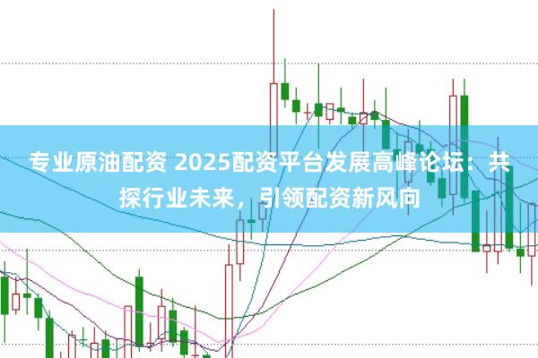 专业原油配资 2025配资平台发展高峰论坛：共探行业未来，引领配资新风向