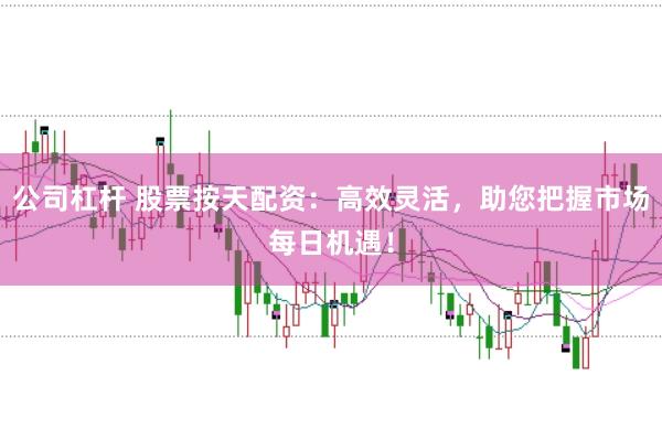公司杠杆 股票按天配资：高效灵活，助您把握市场每日机遇！