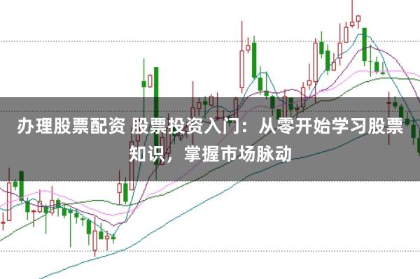 办理股票配资 股票投资入门：从零开始学习股票知识，掌握市场脉动