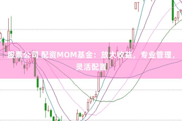 股票公司 配资MOM基金:放大收益,专业管理,灵活配置