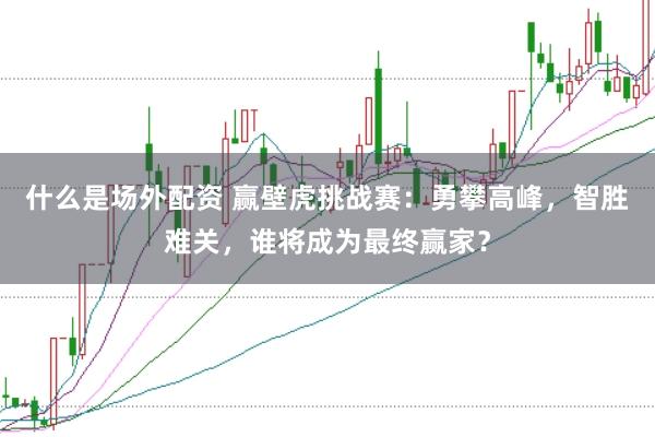 什么是场外配资 赢壁虎挑战赛：勇攀高峰，智胜难关，谁将成为最终赢家？