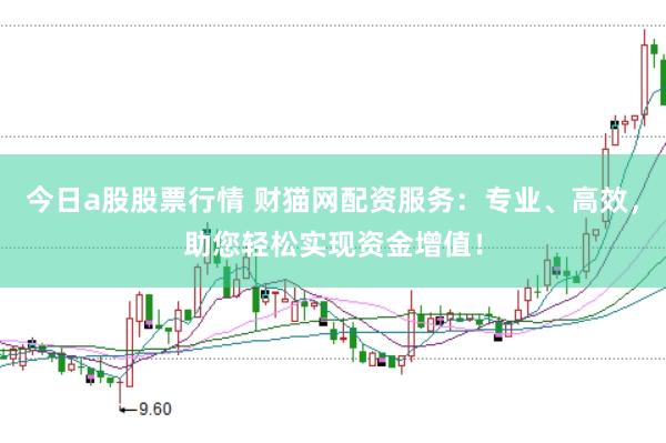 今日a股股票行情 财猫网配资服务：专业、高效，助您轻松实现资金增值！