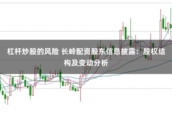 杠杆炒股的风险 长岭配资股东信息披露：股权结构及变动分析
