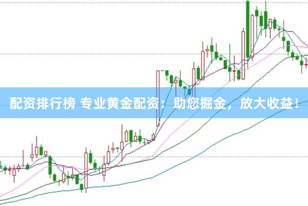 配资排行榜 专业黄金配资:助您掘金,放大收益!
