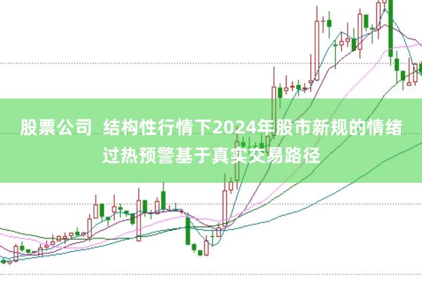 股票公司  结构性行情下2024年股市新规的情绪过热预警基于真实交易路径