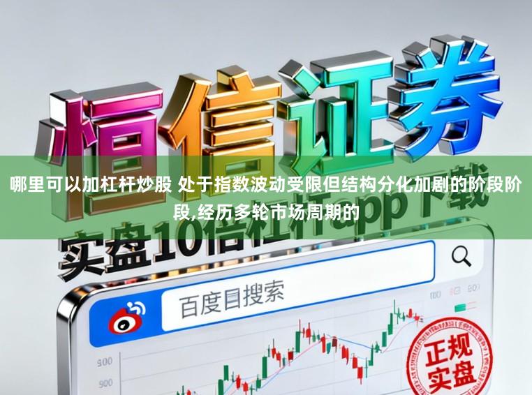 哪里可以加杠杆炒股 处于指数波动受限但结构分化加剧的阶段阶段,经历多轮市场周期的