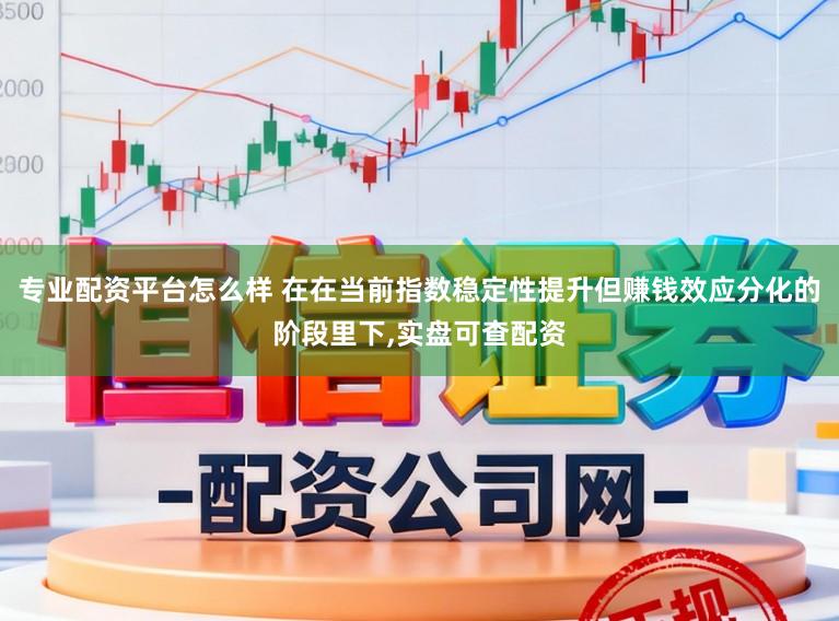 专业配资平台怎么样 在在当前指数稳定性提升但赚钱效应分化的阶段里下，实盘可查配资