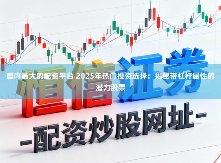 国内最大的配资平台 2025年热门投资选择：揭秘带杠杆属性的潜力股票
